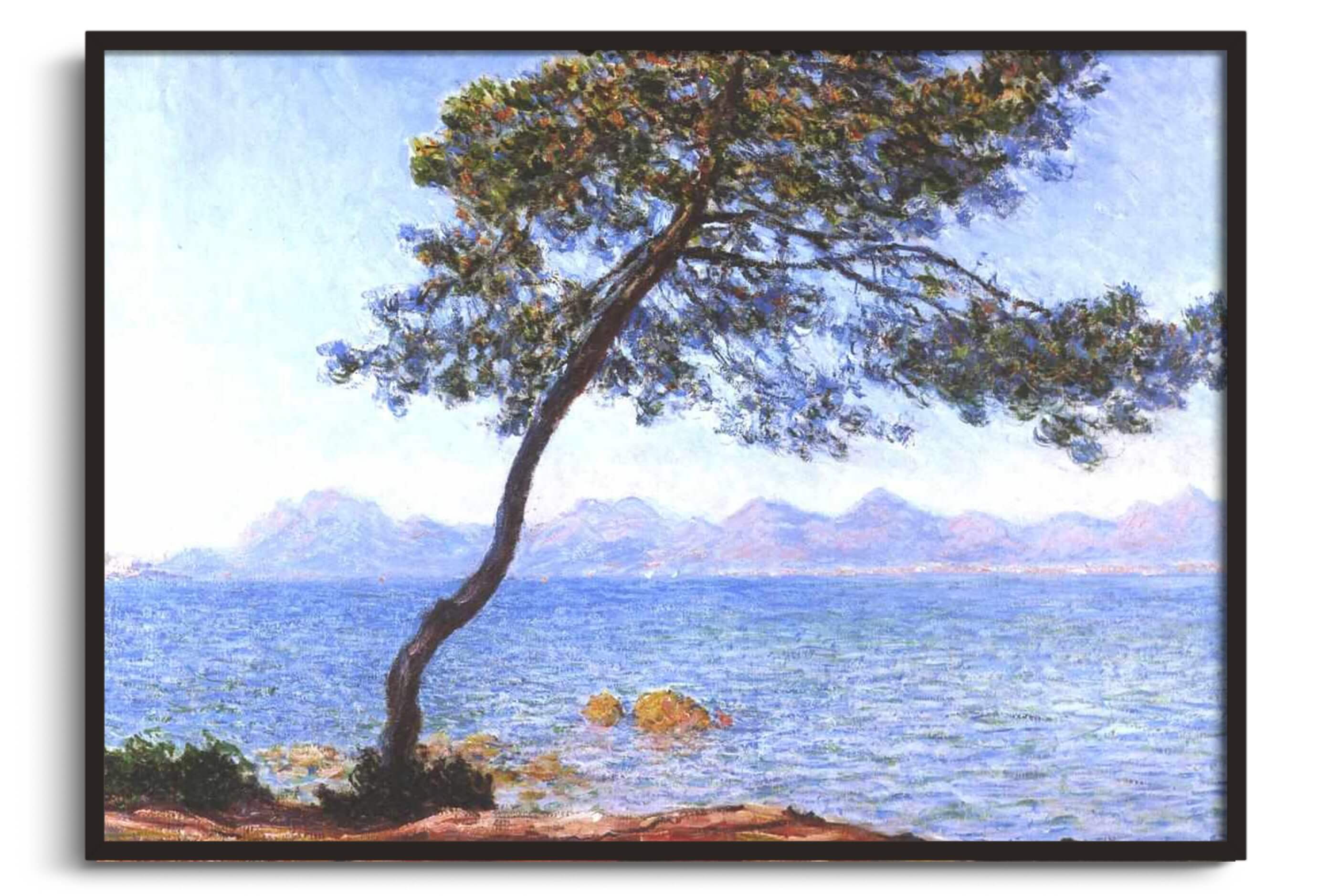 Vorschaubild 1
